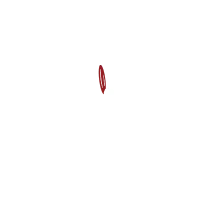 Riz de Camargue