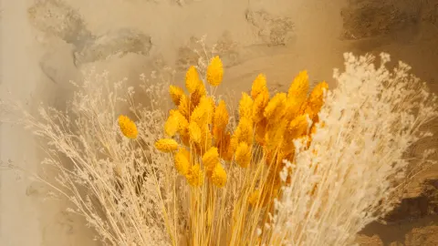 Bouquet de fleurs séchées dans les bureaux