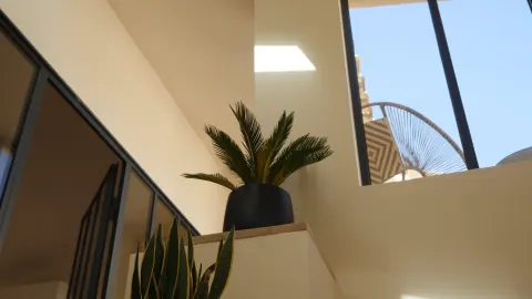 Escalier et plante sous la verrière des bureaux