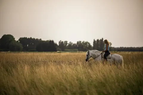 Cavalière sur un cheval Camargue au milieu des herbes hautes