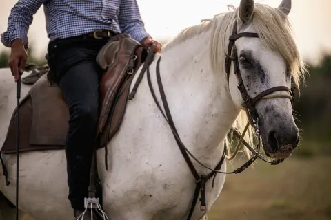 Gardian à cheval sur un cheval Camargue