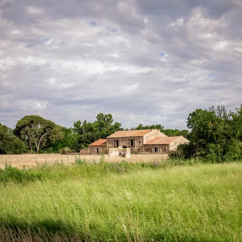 Mas provençal au bord d'une prairie de foin