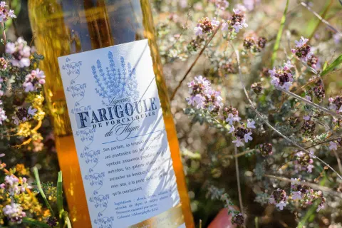 Bouteille de liqueur de farigoule posée dans le thym en fleurs