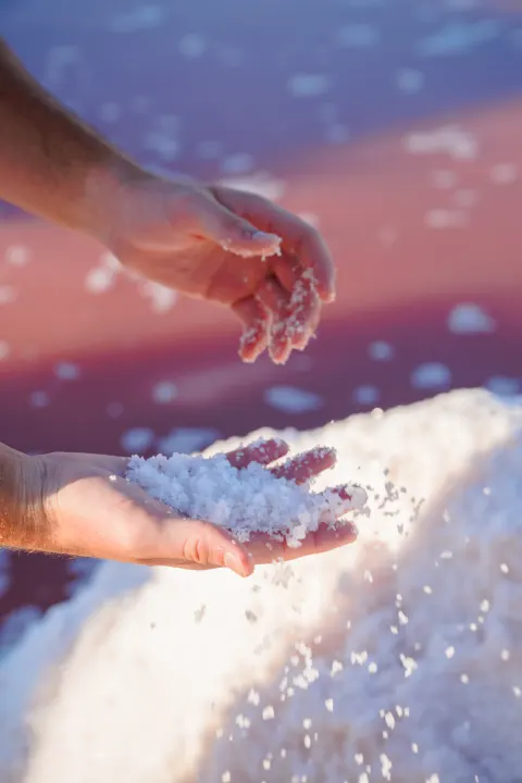 Mains tenant de la fleur de sel de Camargue