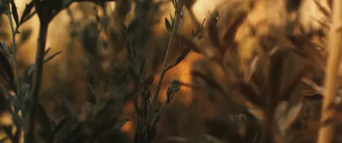 Vidéo d'ouverture DISTIA