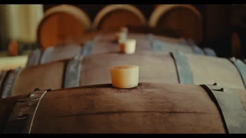 Fûts de vin alignés dans un chai