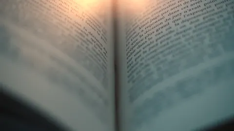 Pages d'un livre ouvert dans une lumière douce