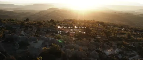 Collines de Haute-Provence au lever du soleil, avec la signature des Distilleries et Domaines de Provence