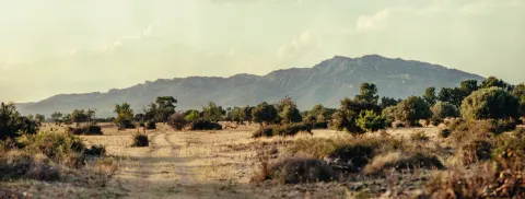 Plaine de Provence et montagne au soleil couchant